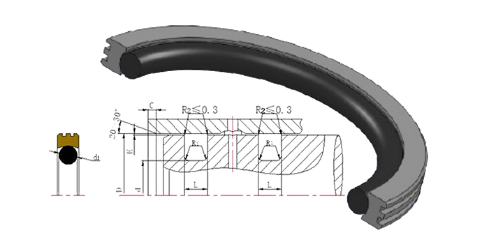 軸用旋轉(zhuǎn)密封圈又是組合型油封嗎？